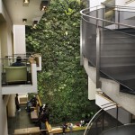 Living Wall at University of Guelph-Humber