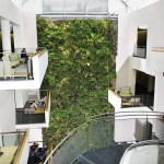 Living Wall at University of Guelph-Humber