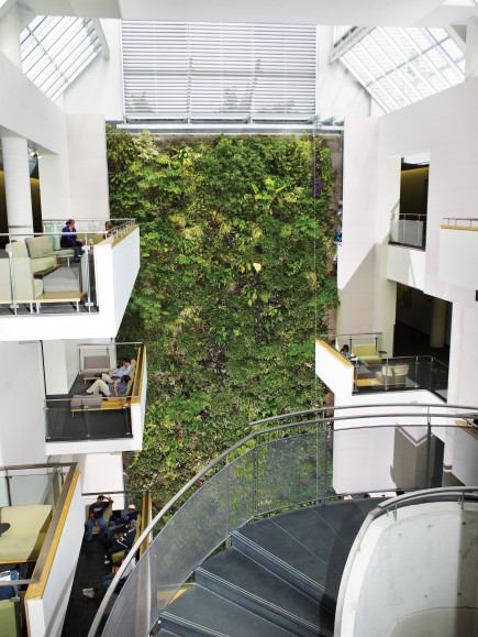 University of Guelph-Humber