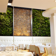<div class="ko-tooltip-container"><div class="ko-tooltip-title">Sassafraz Restaurant</div><!--close class="ko-tooltip-title"--><div class="ko-tooltip-view-project">View Project</div><!--close class="ko-tooltip-view-project"--></div><!--close class="ko-tooltip-container"--> Sassafraz Restaurant