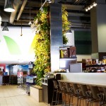 Living Wall at Longo's Grocery Store