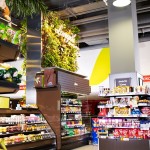 Living Wall at Longo's Grocery Store