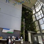 Living Wall at John Theuer Cancer Center