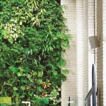 Living Wall at St. Gabriel’s Passionist Parish