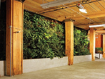 Robertson Building Living Walls