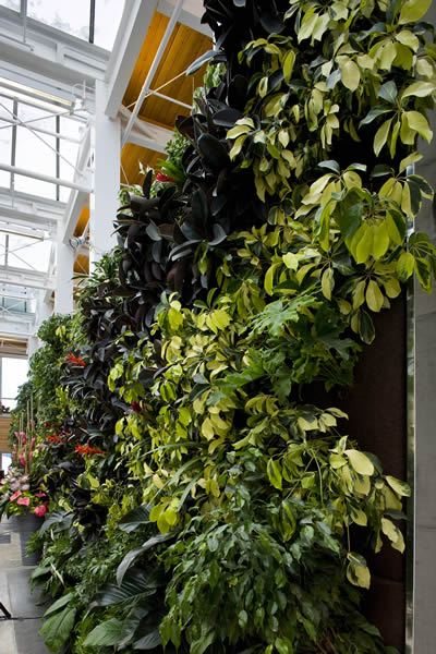 Royal Botanical Gardens