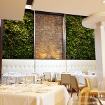 Sassafraz Living Walls with Water Feature