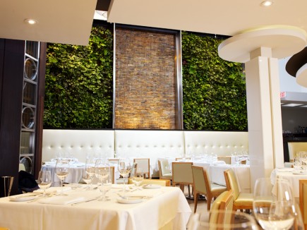 Sassafraz Restaurant