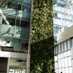 Living Wall Biofilter at Corus Quay