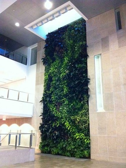 Carleton University 