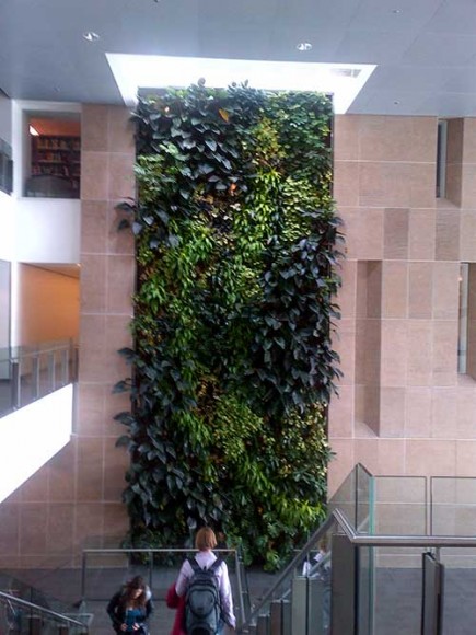Carleton University 