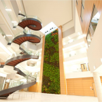 Living wall biofilter in the atrium at Drexel University