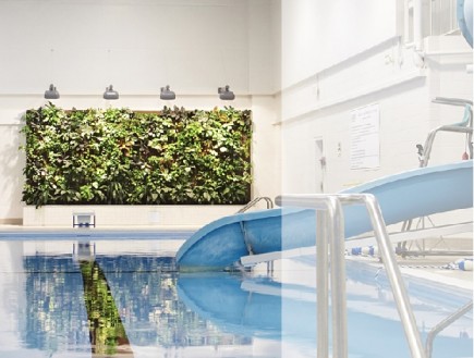 W.G. Johnson Pool 