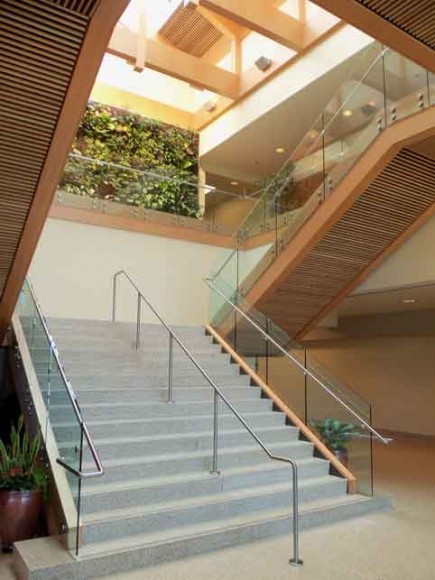 Western University – College Of Osteopathic Medicine 